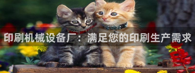 九游会个人中心登录页面