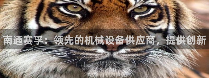 九游会j9登录官网