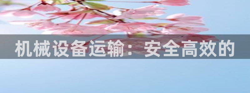 九游会j9登录官网