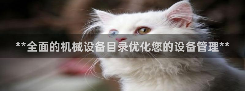 九游会网址登录不上