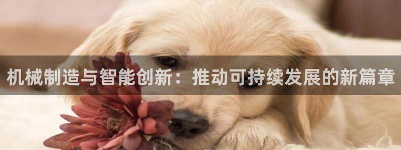 九游会国际厅有限责任公司