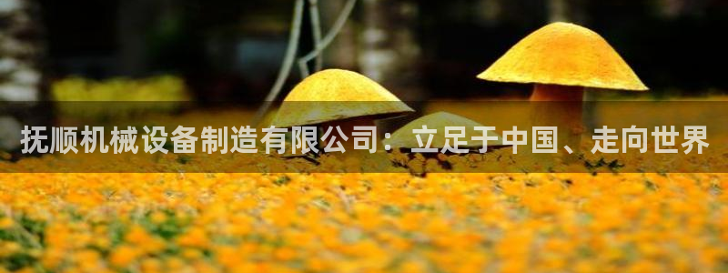 j9九游会网址