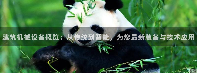 九游会老哥必备的俱乐部交流区论坛