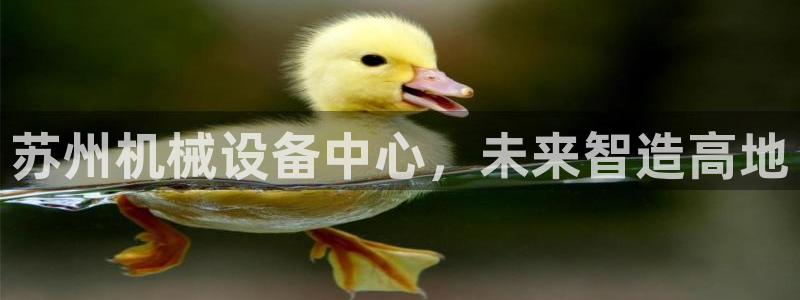 九游J9官方网站