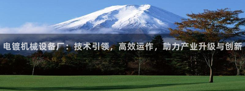 九游会是什么组织