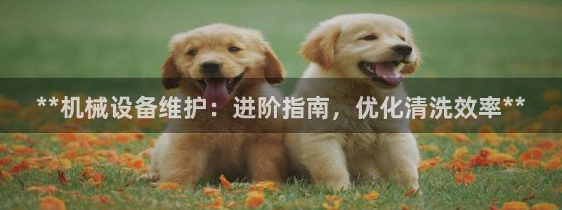 九游会网址是什么情况