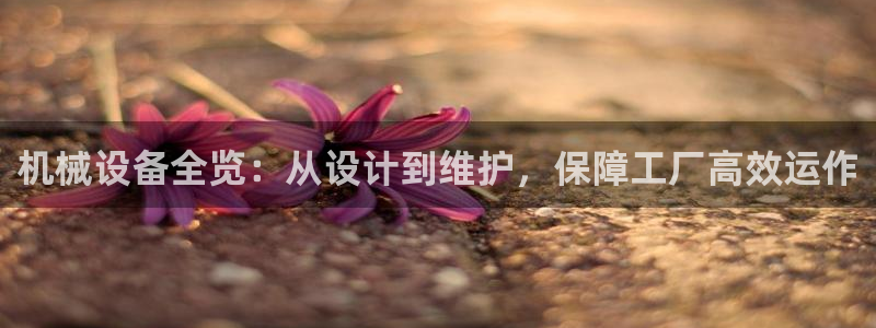 九游会官网进入口