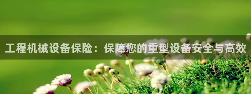 九游会网址大全