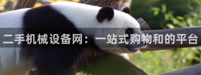 九游会app官方下载